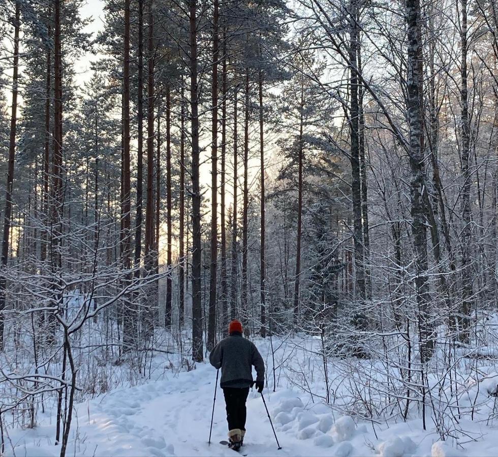 Linkkumylly Cottages Mäntyharju المظهر الخارجي الصورة