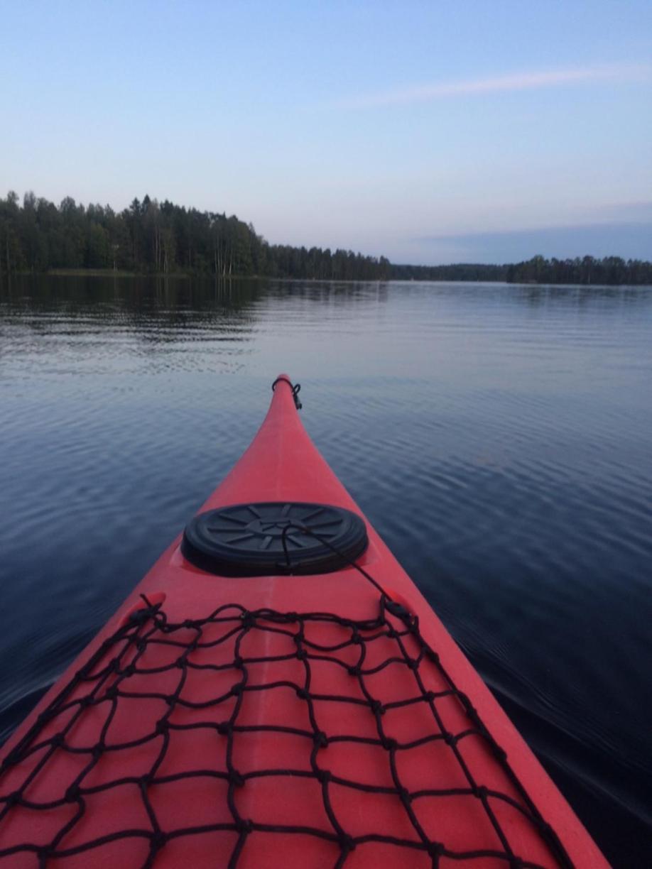 Linkkumylly Cottages Mäntyharju المظهر الخارجي الصورة